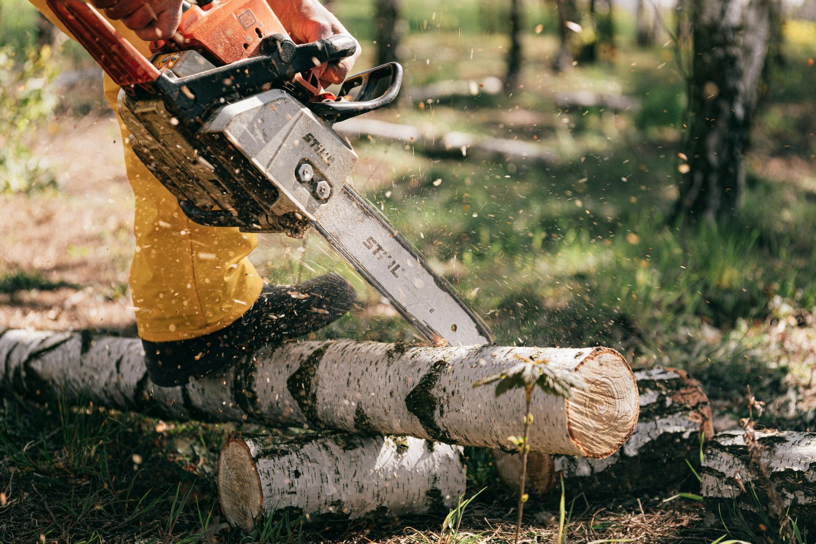 Chainsaw cutting a log